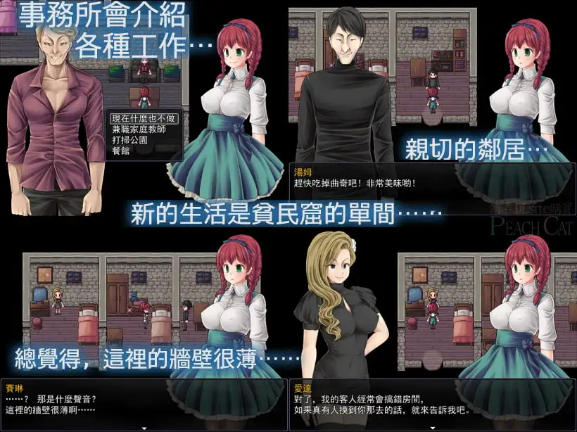 萨利的卖春白书【中国语版】