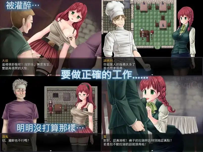 萨利的卖春白书【中国语版】