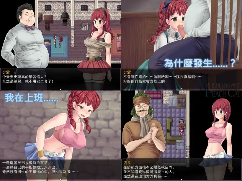 萨利的卖春白书【中国语版】