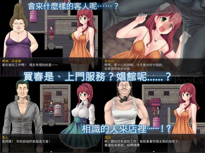 萨利的卖春白书【中国语版】