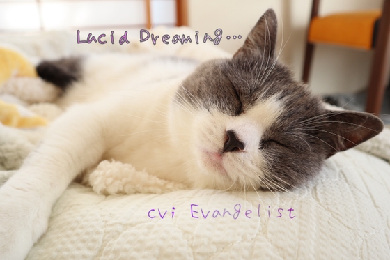 ASMR■Lucid Dreaming…[[熟睡サポート音声]]