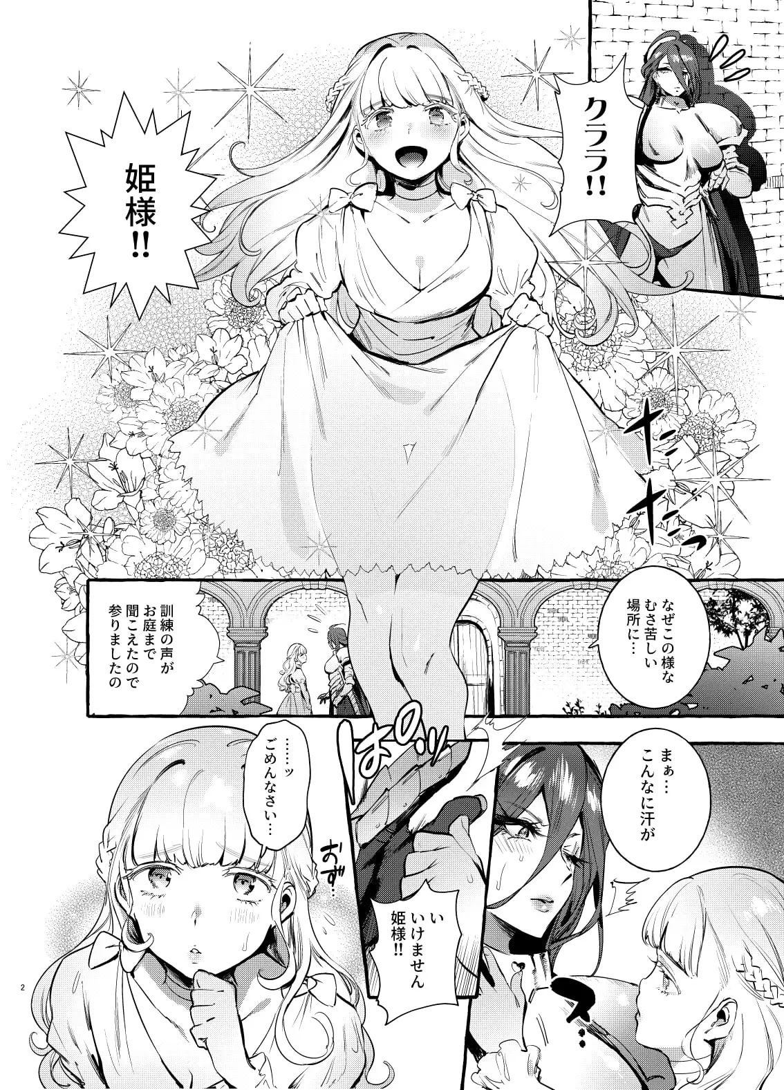 おちんぽ女騎士と処女姫 サンプル画像 2