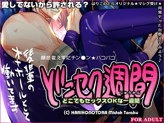 どこセク週間~どこでもセックスOKな一週間~