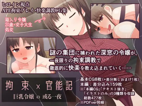 拘束×官能記 巨乳令嬢の或る一夜
