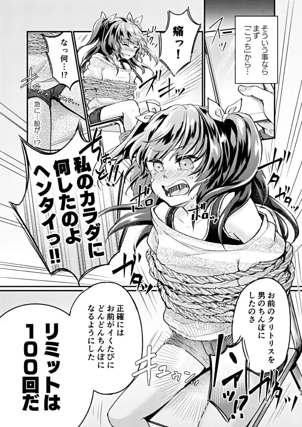 ツンデレ妹-淫棒改造計画 サンプル画像 4