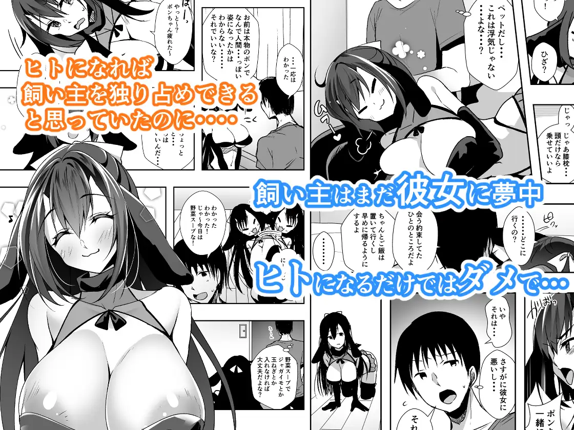 sub-image_1