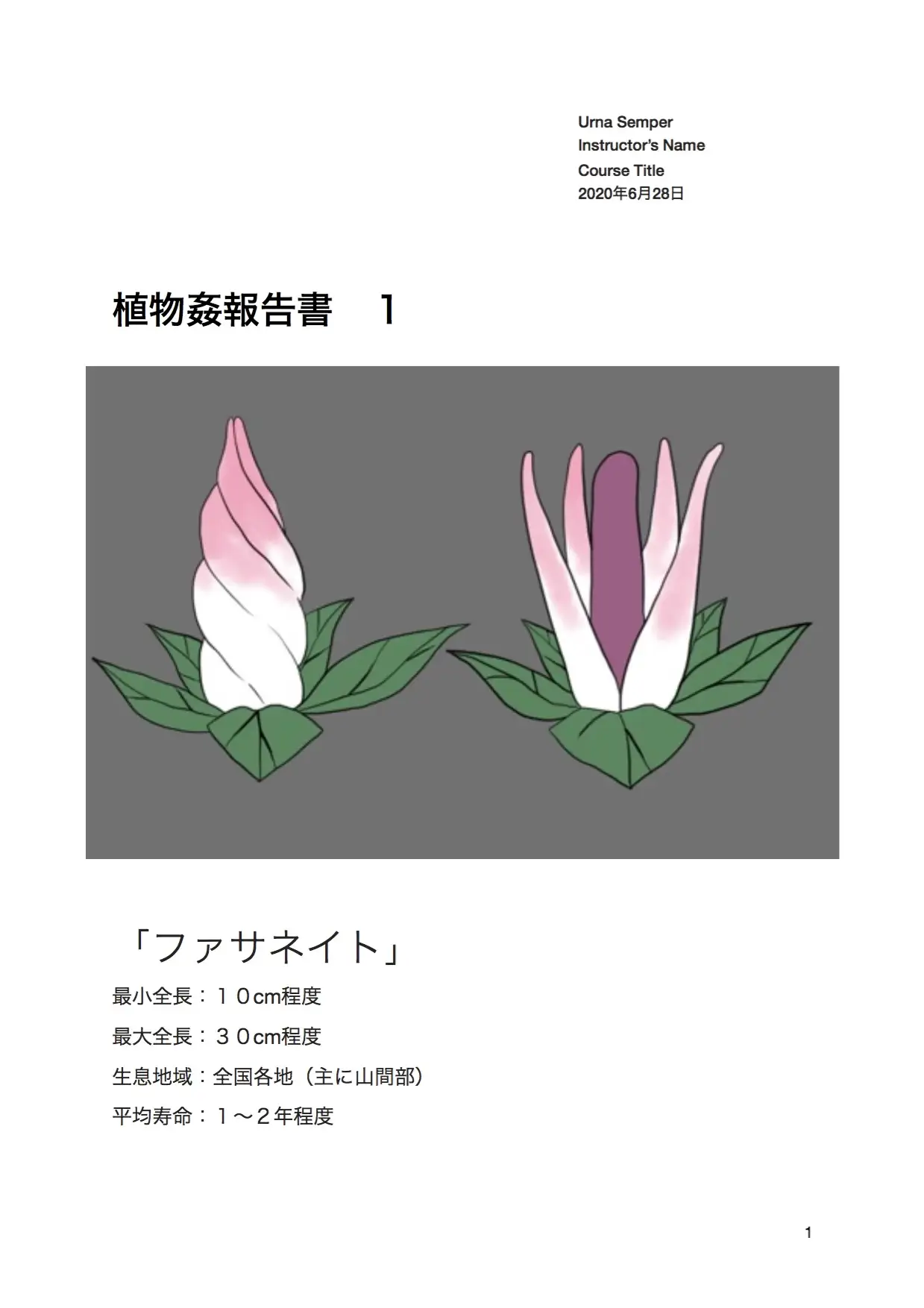 sub-image_0