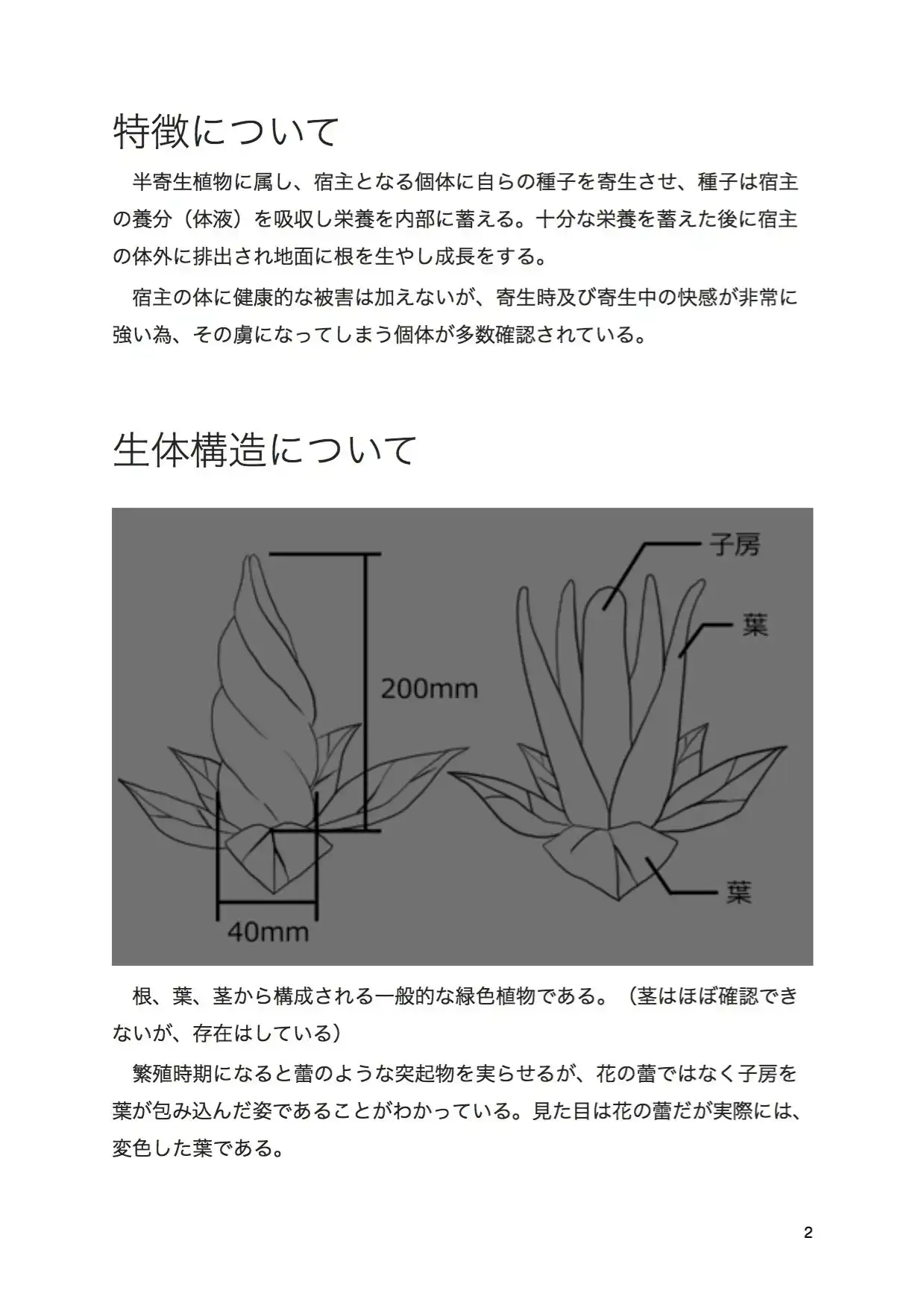 sub-image_1