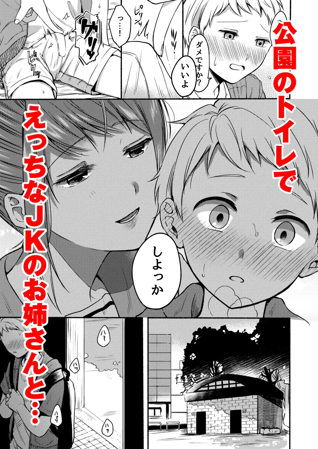 ショタが裏垢女子で初めてのセックスをしちゃう同人誌の紹介【どうしょく】 - DLチャンネル みんなで作る二次元情報サイト！