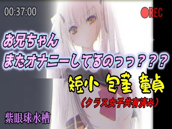 【かわいそうな包茎お兄ちゃん】またオナニーしてるのっっ??? セイラ編 ~妹のスマホに保存された、射精しか考えられない猿の記録~