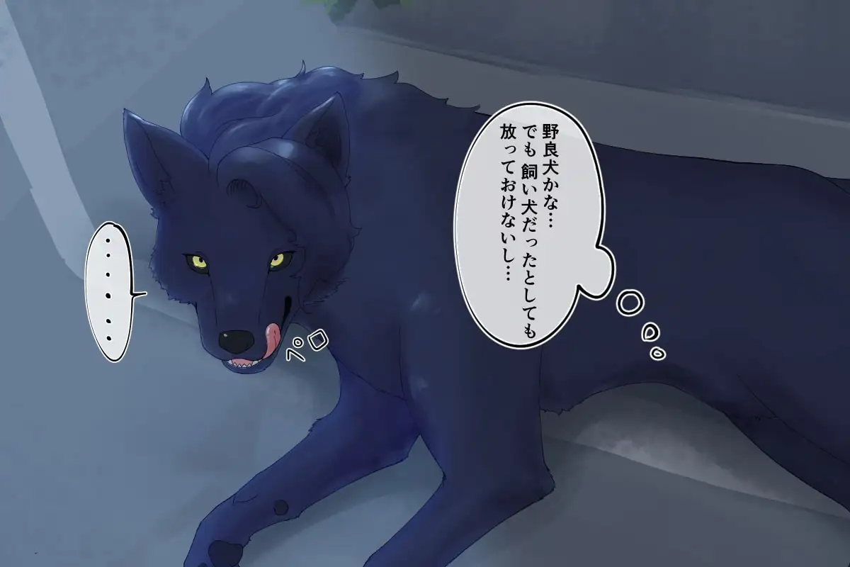 番い婚～拾った犬は狼でした～ [きんもくせいのゆうかぜ] | DLsite がるまに