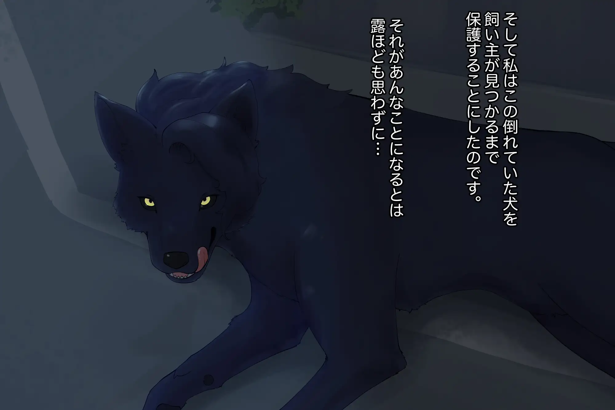 番い婚～拾った犬は狼でした～ [きんもくせいのゆうかぜ] | DLsite がるまに