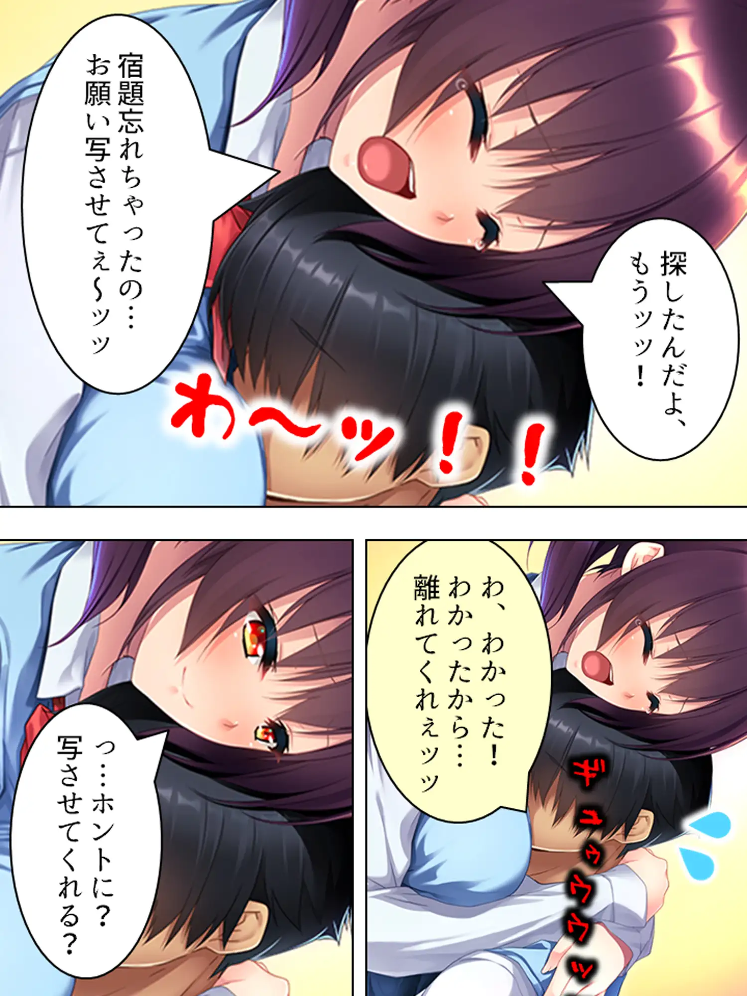 sub-image_0