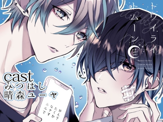 トワイライトムーン-傷の手当ても酷くして₋ / Twilight Moon -Treat my Wounds Painfully-