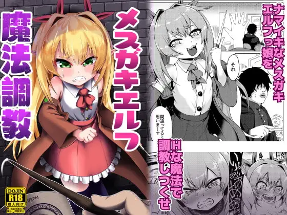 メ○ガキエルフ魔法調教