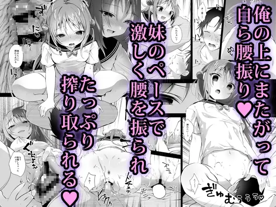 理想の妹 5 サンプル画像 2