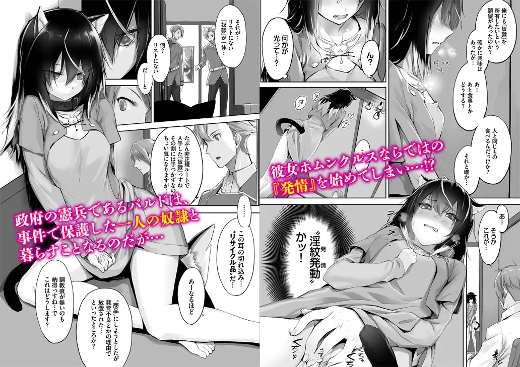 愚か者は猫耳奴隷に依存する〜初めての調教生活〜合本版1 サンプル画像 2