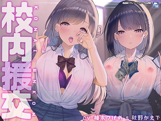 校内援交～隣の個室の行為が聞こえるリアルな緊張感～【フォーリーサウンド】