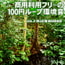 商用利用フリーの100円ループ環境音 VOL.2 森林環境音(録音地:埼玉県狭山丘陵)