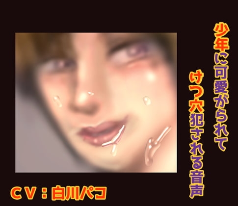 少年に可愛がられてけつ穴犯される音声