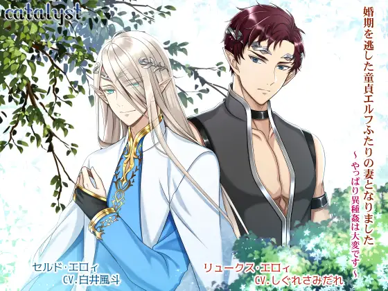 婚期を逃した童貞エルフふたりの妻となりました~やっぱり異種姦は大変です~