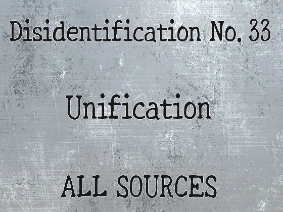 Disidentification_No.33_Unification
