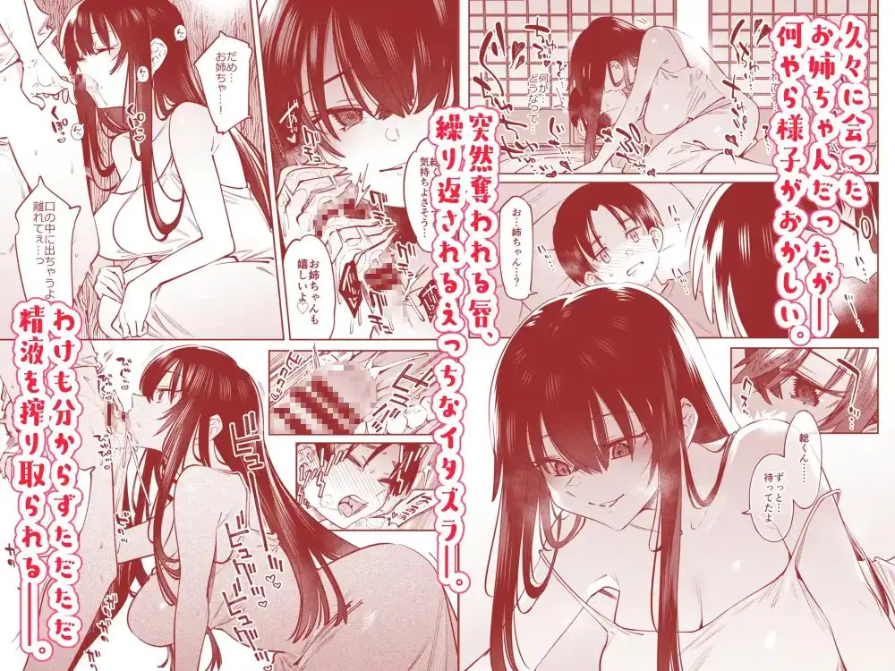 僕とお姉ちゃんの或る夏の日。 サンプル画像 2