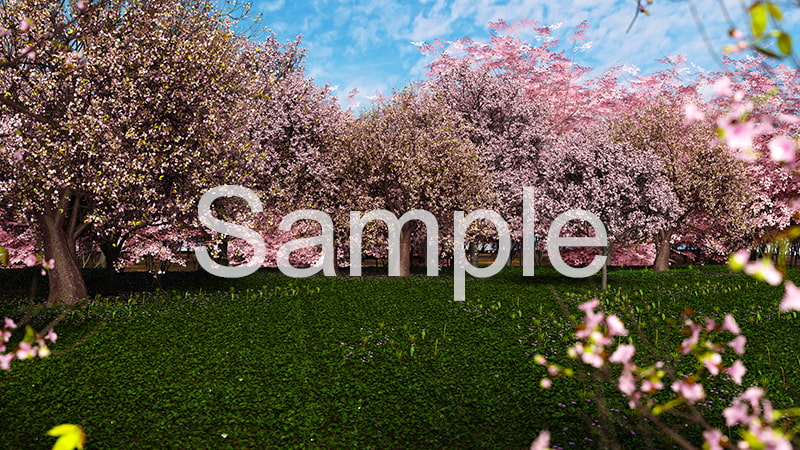 3DCG背景素材集:桜シリーズ-1(8Kピクセル、フルHDサイズ)3