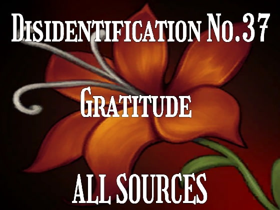 Disidentification_No.37_Gratitude