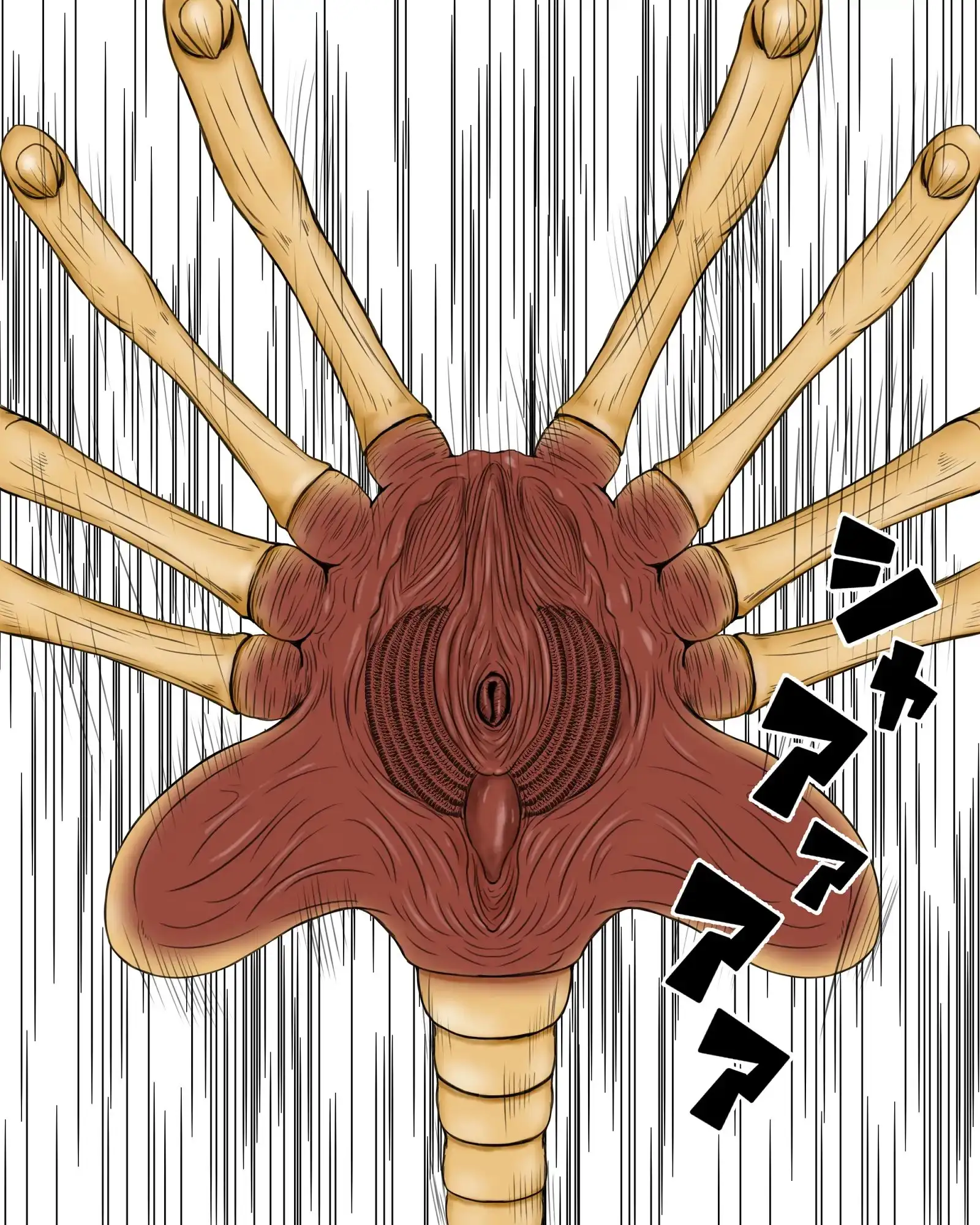 sub-image_4