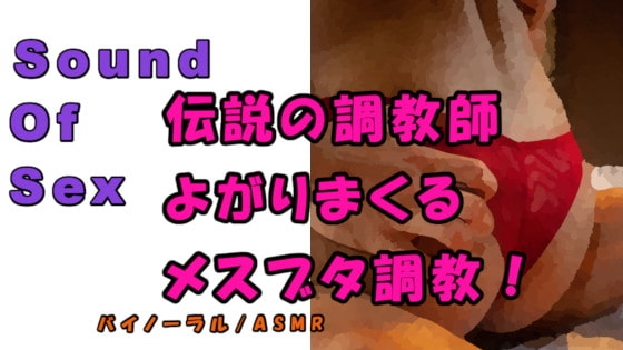 ノンフィクションSEXボイス!実録!ガチムチ熊系調教師が首絞めスパンキング、言葉責めで尻でかメスブタを調教完了! ASMR/バイノーラル/催眠音声/M女/凌辱☆