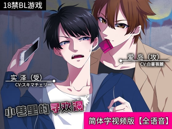 小巷里的寻欢洞【视频版】