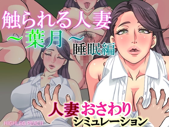 触られる人妻 ~葉月~睡眠編