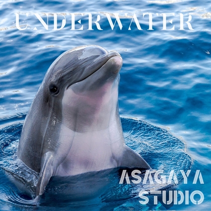 まんまる海獣 UNDERWATER  純正率 癒しのアンビエントミュージック