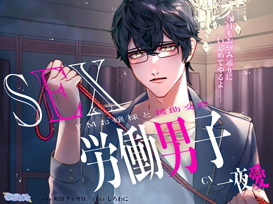SEX労働男子～ドMお嬢様と援助交際～【フォーリーサウンド】