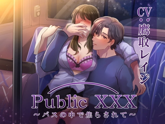 Public XXX ~バスの中で焦らされて~