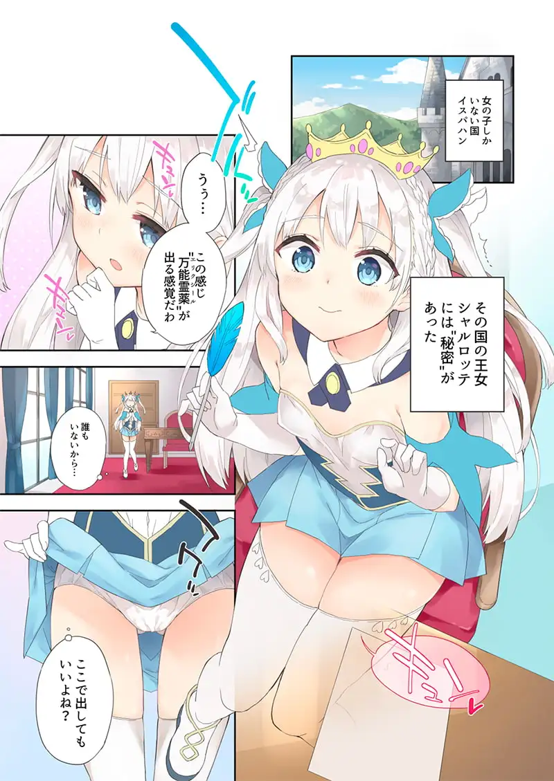 【繁体中文版】姫さまそれは聖水ですか?総集編