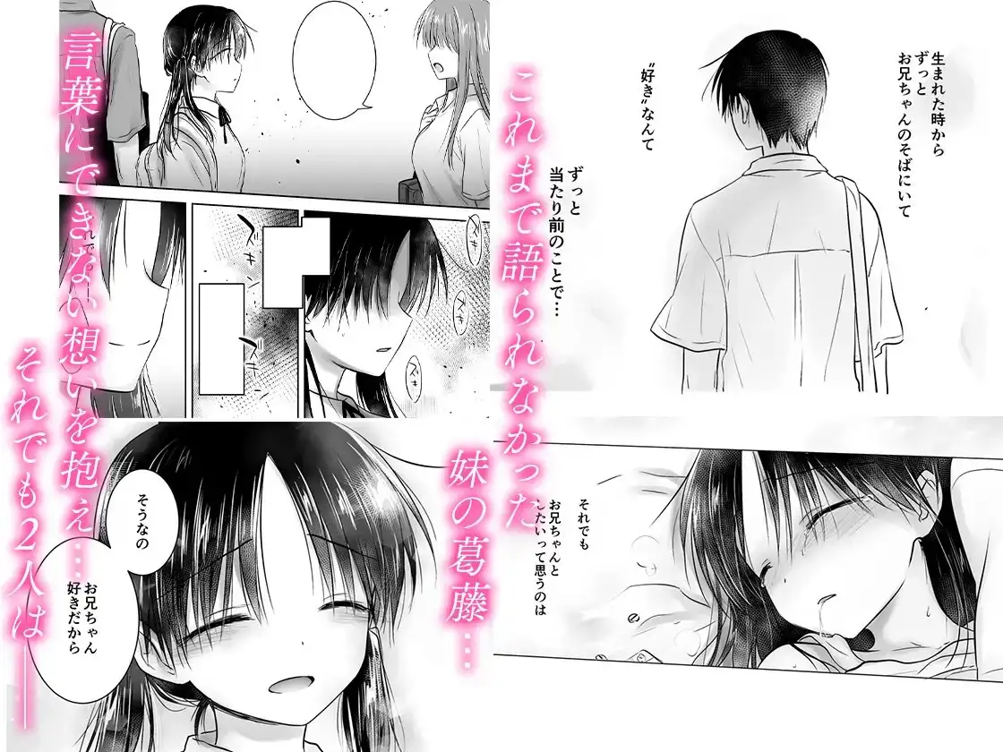 【简体中文版】回忆SEX