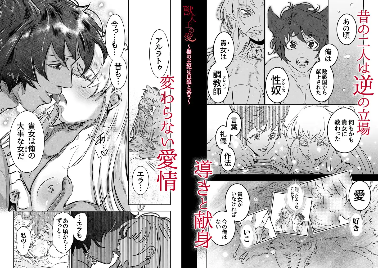 獣人王の愛～傷の王妃は巨狼と番う～のサンプル画像5
