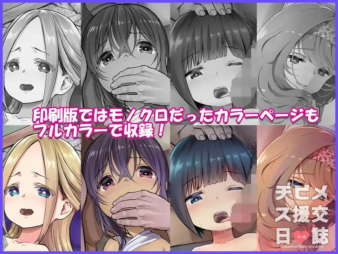 チビメス援交日誌2 サンプル画像 2