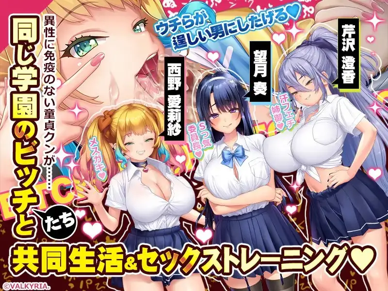 ハーレムビッチハウス！