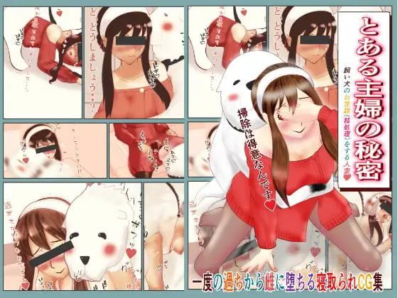 とある主婦の秘密