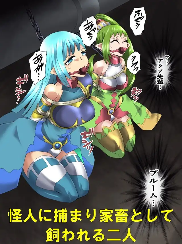 妖精骑士Fairy Bloom第4话