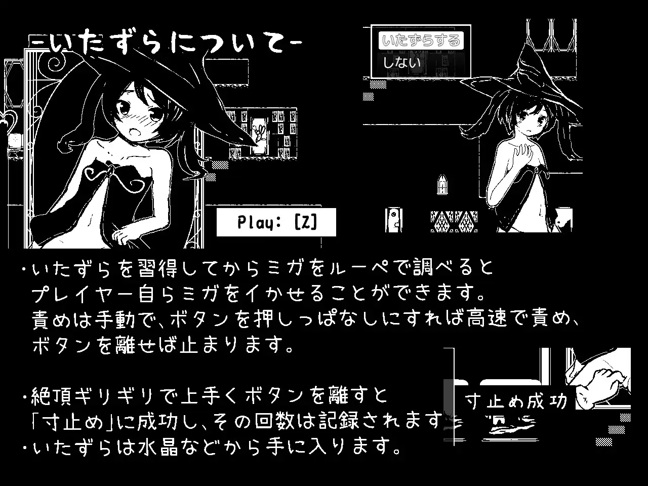 sub-image_6
