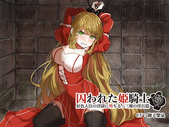 囚われた姫騎士〜好色大臣の淫獄に堕ちる/三種の淫具篇〜