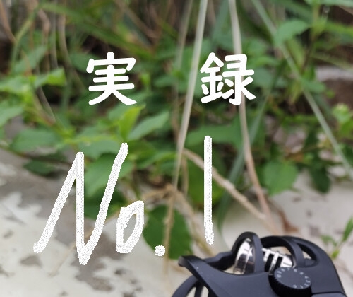 実録 雷雨