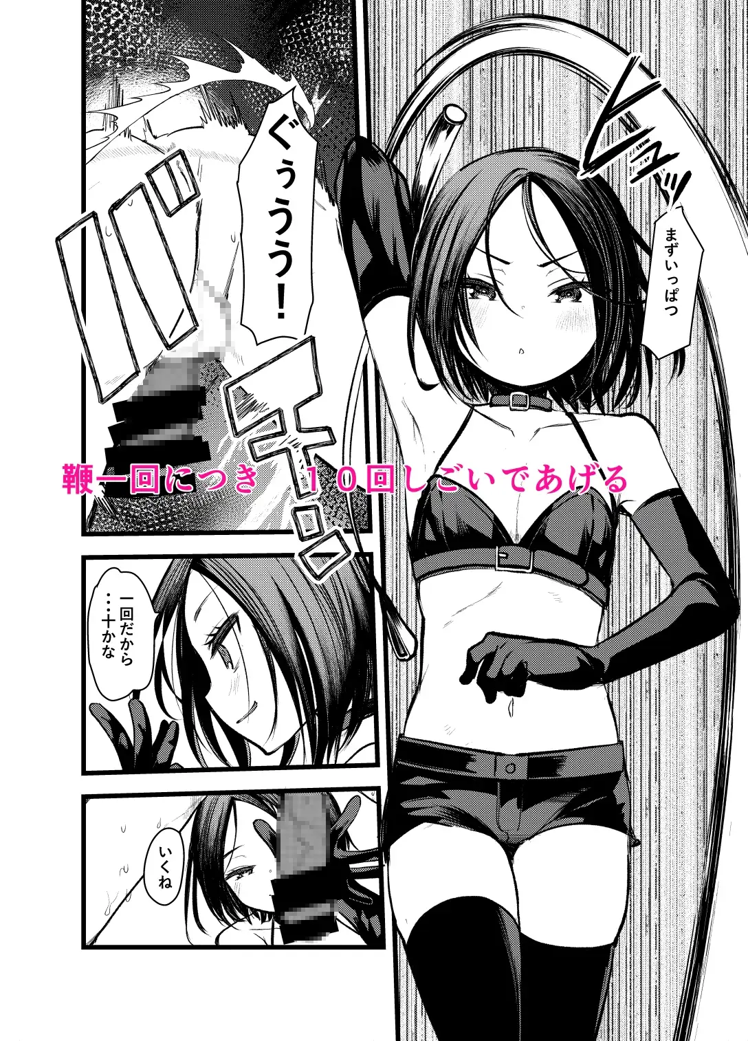 【简体中文版】DOGTRAINER