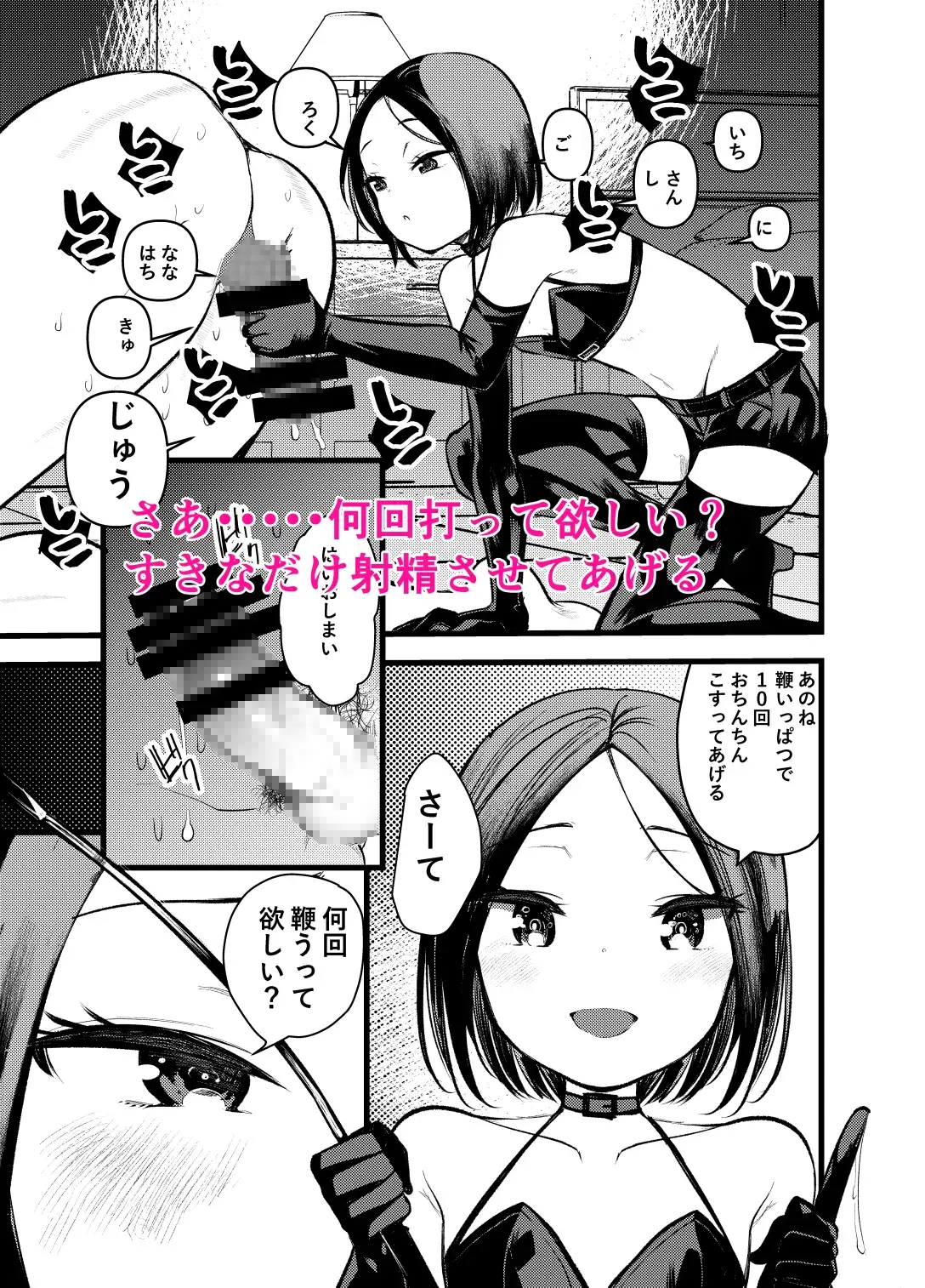 【简体中文版】DOGTRAINER