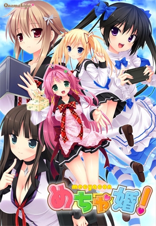 めちゃ婚!