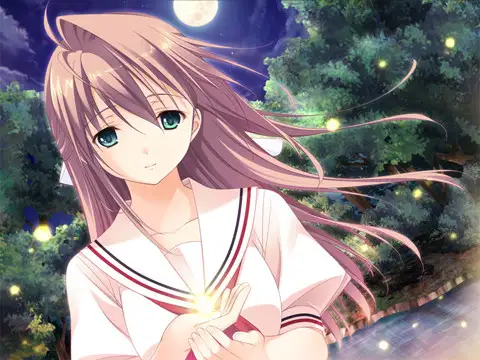 sub-image_0